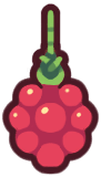 raspberry